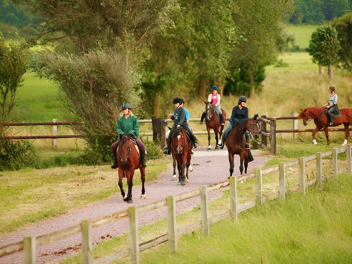 Centre Equestre de Blonville-sur-Mer - BLONVILLE-SUR-MER