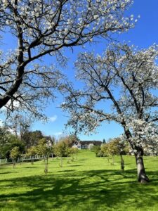 jardin 80